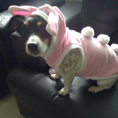 sweetie 1