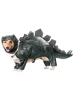 stegosaurus-dog-costume