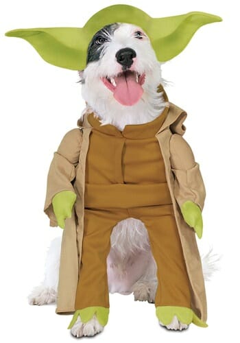 yoda-dog-costume