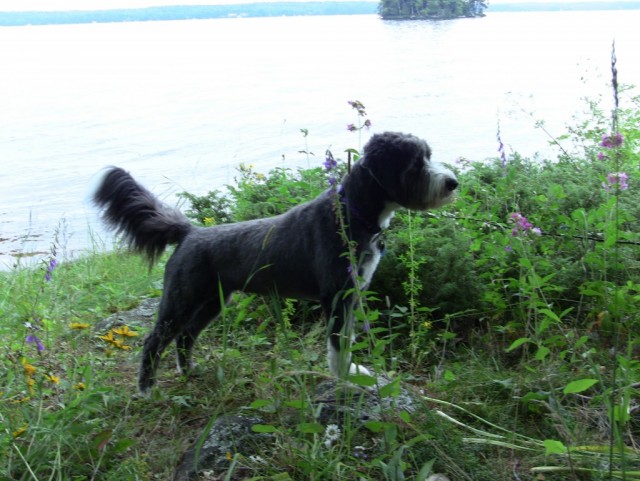 TH smell the flowers