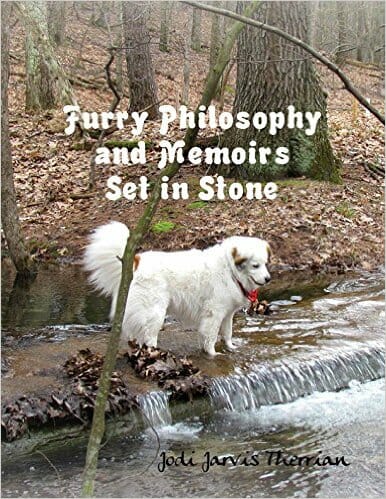 Furry Philosophy and Memoirs Set in Stone book cover