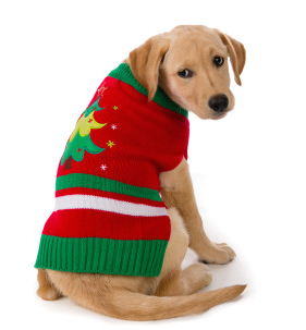 TopPaw Pet Holiday Light Up Christmas Tree Sweater