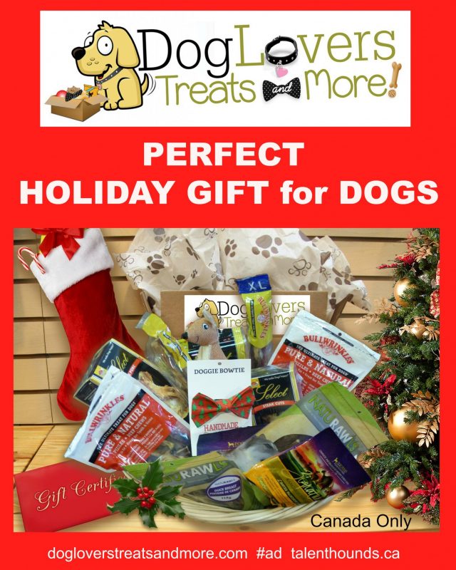 Dog Lovers Treats and More Holiday Treats Box is the perfect holiday gift for dogs