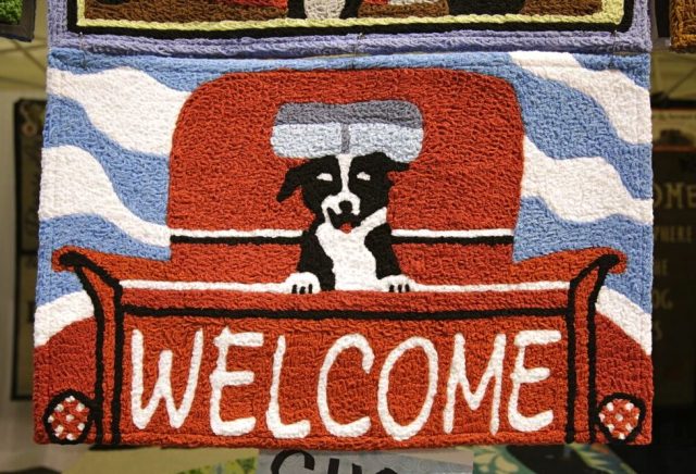 dog-welcome-mat-at-the-toronto-christmas-pet-show-day-2