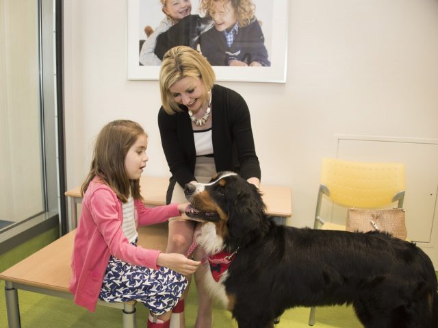 Pet Therapy Visits at the St. Louis Childrens Hospital