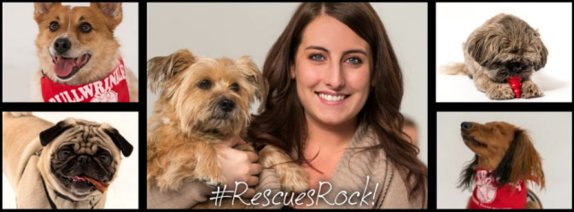 Rescue Dogs Rock montage with Tanya for Talent Hounds TV