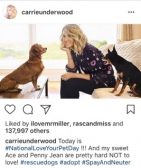 Carrie Underwood celebrates her rescue dogs on #Nationalloveyourpetday. Photo from @carrieunderwood