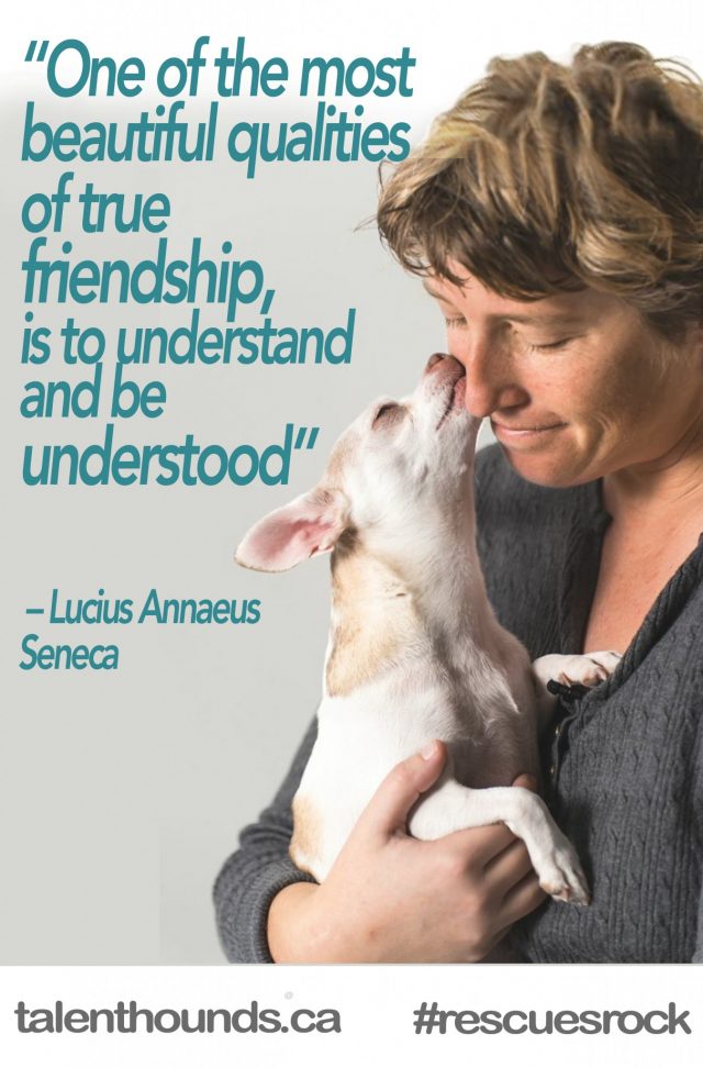 One of the most beautiful qualities of true friendship is to understand and be understood - Insprational quote