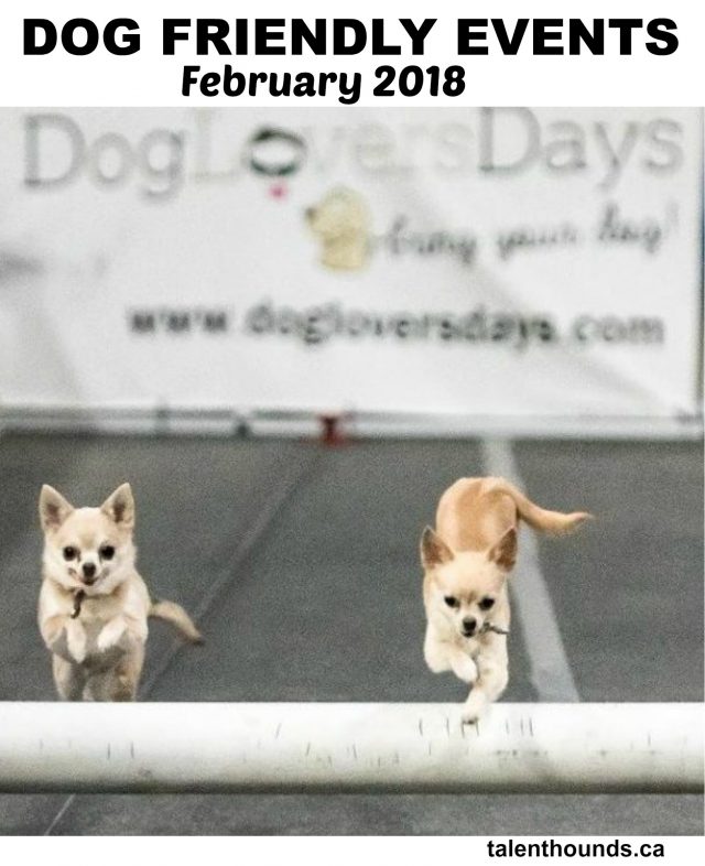 Dog Friendly Events in February 2018 Pin