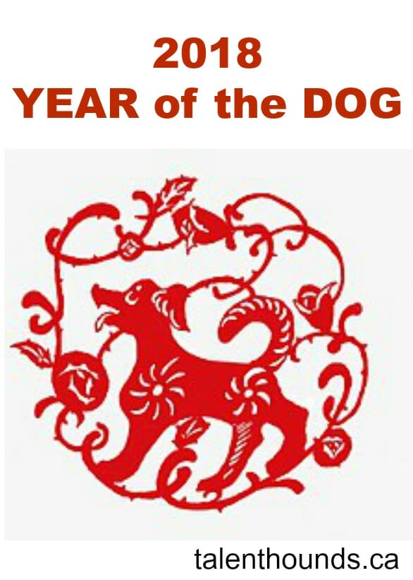 Find out What is the Year of the Dog- pin image of paper Cut Chinese Zodiac Dog