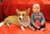 Valentine's Giveaway Photos- Winner Gloria's dog and baby- so cute