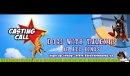 Talent Hounds Casting Call Banner