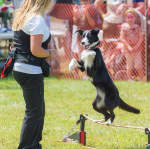 heather mcleod of RUFFSPORT with jumping border collie