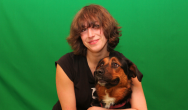 Holiday Pet Care audition photo
