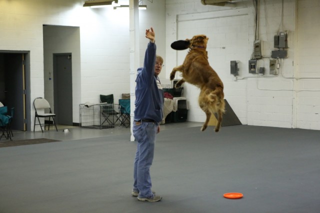 One of the best photos of athlete Dogs- Tom and his disc dog jumping