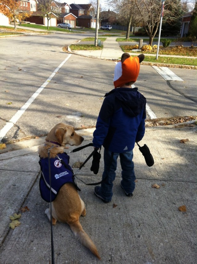 Photo of Max and NSD Chester Walking From Katrina