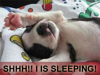 shhh!-is-is-sleeping!