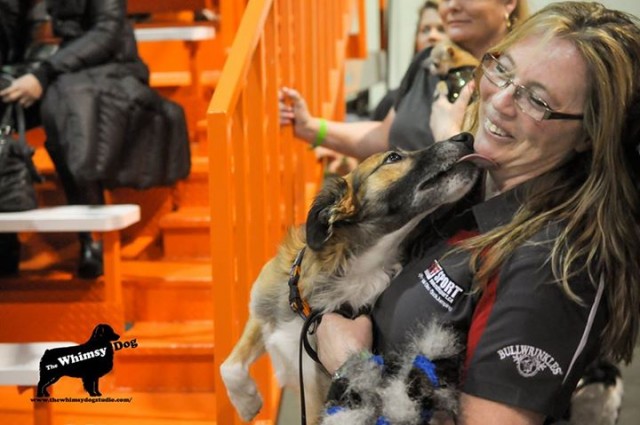 Heather and her dogs performing at the Al About Pets Show supported by Bullwrinkles