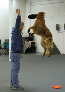 DogsDogsDogs editor Tom + jumping disc dog