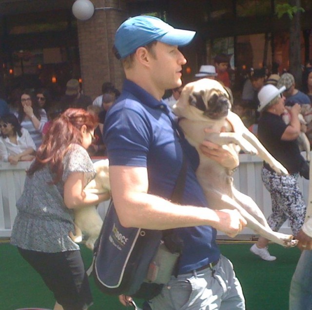 TH Woofstockpugafter