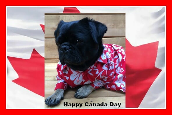 Canada Day flag+Kilo