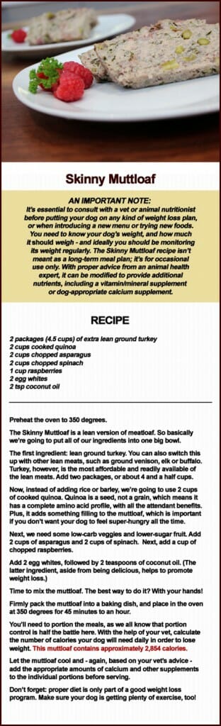 SKINNY-MUTTLOAF-RECIPE for weight loss for dogs from Fido & Wine