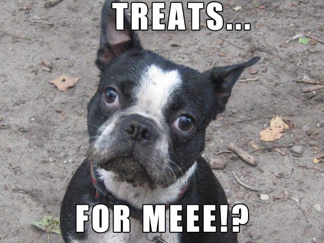 treatsboston