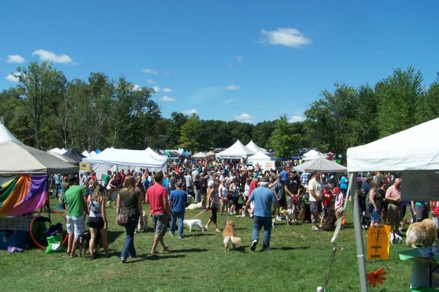 PAWLOOZA 5