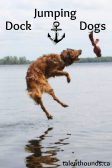 dock jumping dogs