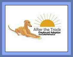 GREYHOUND_LOGO_outline23