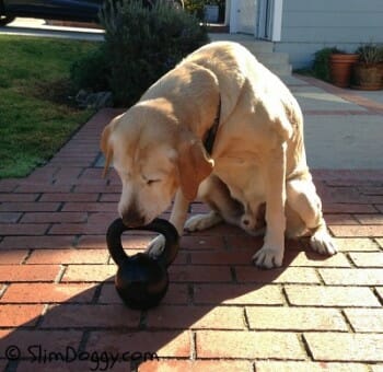 jackwithkettlebell-350x340