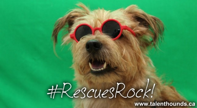 rescuesrocklinzylong