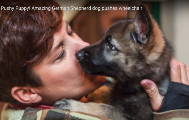Tamandra and her unusual puppy- German Shepherd Justice True