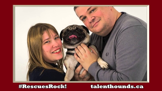 Cute Jingle Bells, Rescue Dogs Rock Video