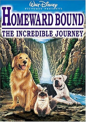 Homeward Bound Movie Poster