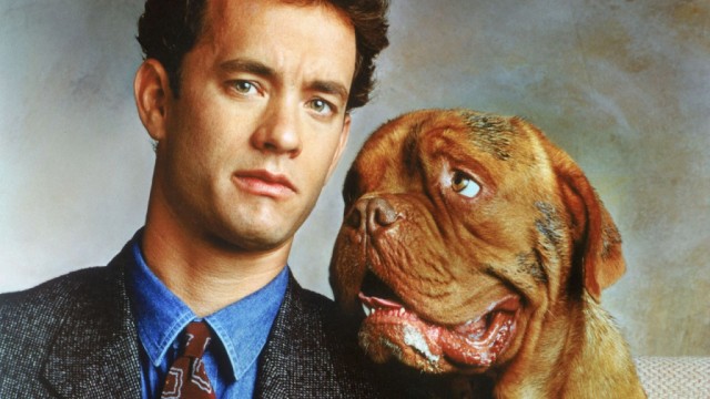 turner-and-hooch