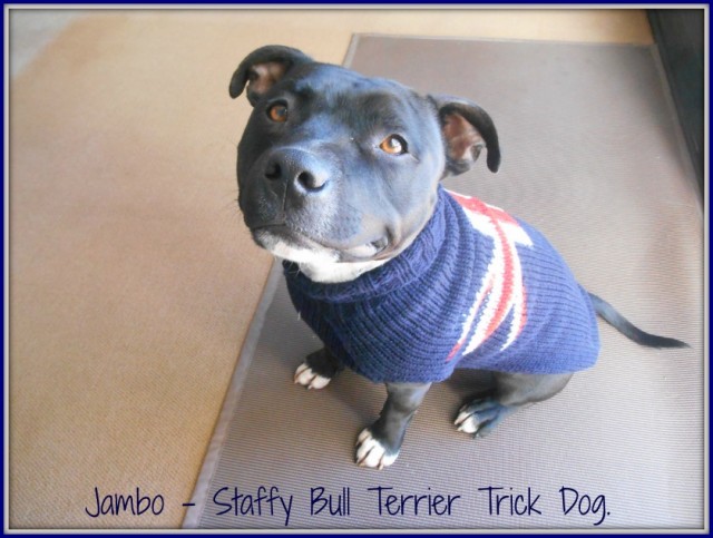 a union jack jumper