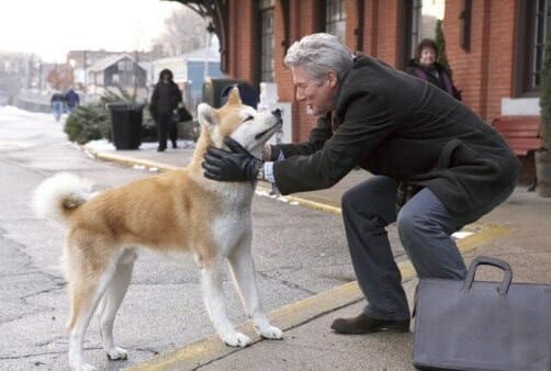 Hachi movie image