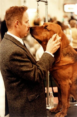 Best in Show movie image