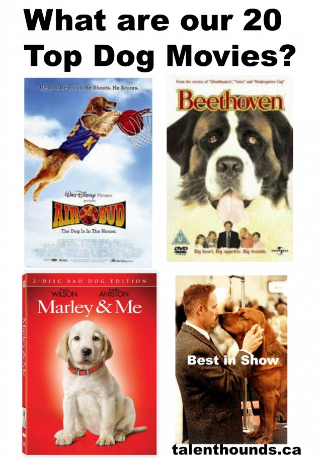 What are our 20 Top Dog Movies? See if you agree or if we missed any of your favorites.