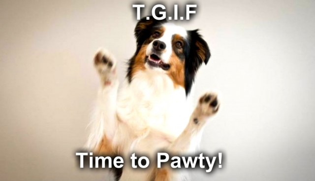 tgifmemepawty