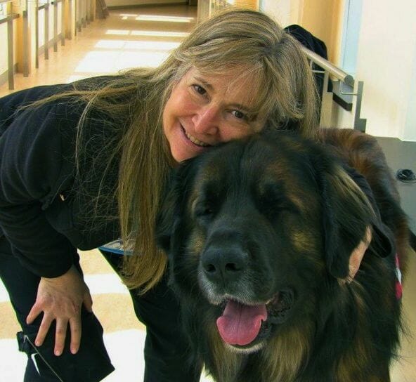 Susie and Olie the leonberger