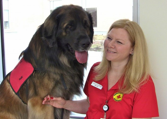 Olie the therapy dog and Anna-Marie