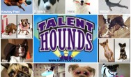 List of different breed posts on Talent Hounds