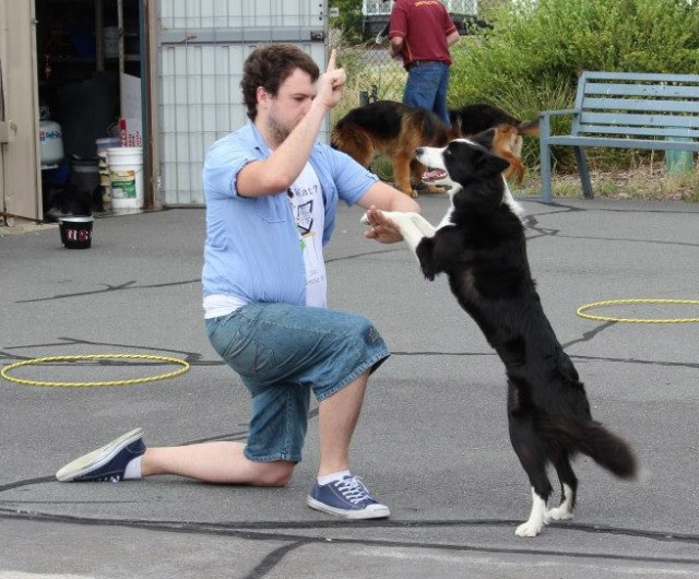 Kevin Newman That Dancing Dog Guy with border collie