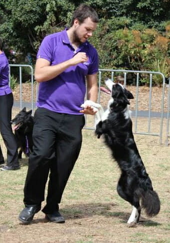 Kevin Newman That Dancing Dog Guy with border collie