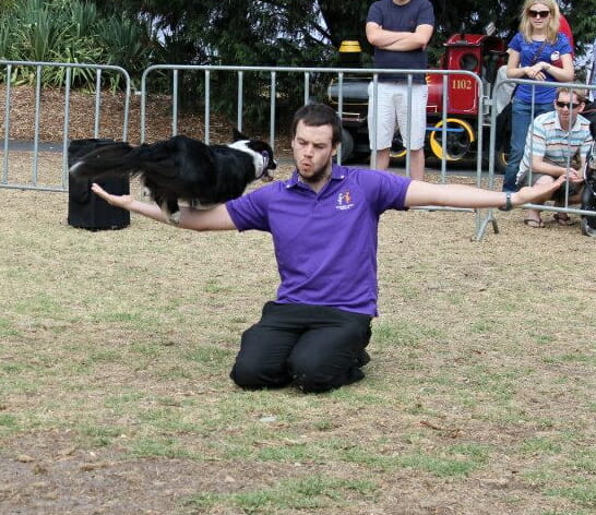 Kevin Newman That Dancing Dog Guy with border collie