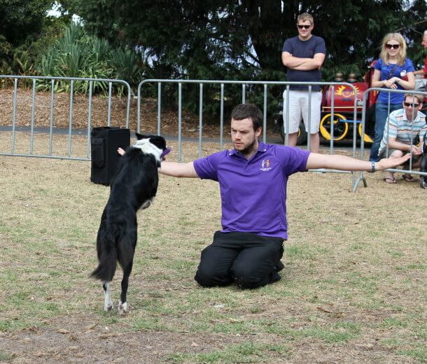 Kevin Newman That Dancing Dog Guy with border collie