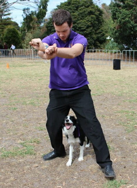 Kevin Newman That Dancing Dog Guy with border collie