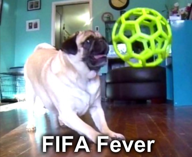 FIFA Fever!